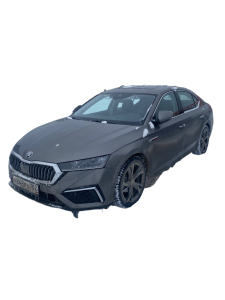 Эва-коврики на  Skoda Octavia Pro (China) 2020-